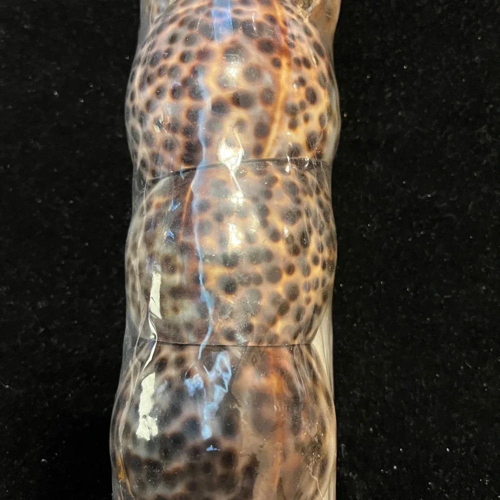 Vintage Tiger Cowrie Sea Shell NAPKIN RING Holders SET of 6 Natural Brown Black
